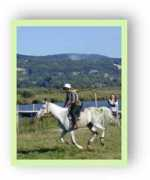 endurance-belgium.com Nafr
