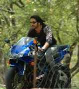 tollywood.allindiansite.com Nagarjuna