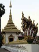 Nagas