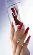 kappersacademievenlo.nl Nagelstyliste