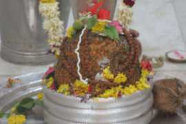 Nagesha