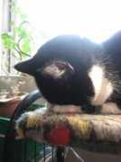 foto.delfi.lv Nagiem