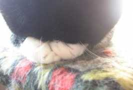 foto.delfi.lv Nagiem