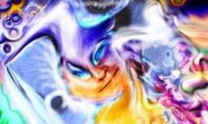 art.net Nagila