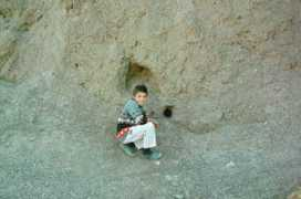 arkdiscovery.com Nahole