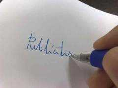 publicitis.com Naiming
