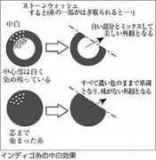 bigjohn.co.jp Nakashiro