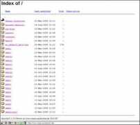 blog.pgs-info.de Nalde