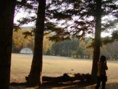fuyu-sonata.com Namisi