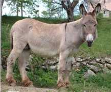 Namour