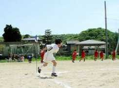 blog.iwashido.com Nanamin