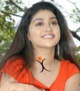 tollywood.allindiansite.com Nandanavanam