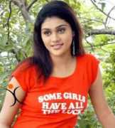 tollywood.allindiansite.com Nandanavanam