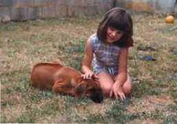 dinizuluridgebacks.com Nandisa