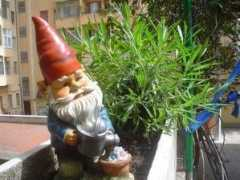 haisentito.it Nanetto
