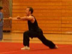 beijingwushuteam.com Nangun