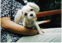 malticoo.com Nanhee