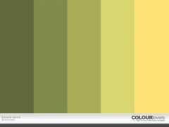colourlovers.com Nanica