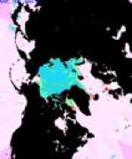 Nanim