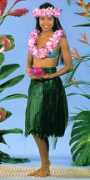 hawaiiansilkflowerleis.com Nanima