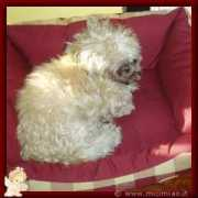 lnx.micimiao.it Nanita