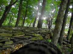 forums.mtbr.com Nanker