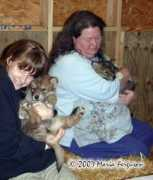 everythingwolf.com Nannies