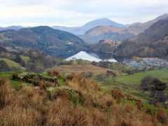 Nant