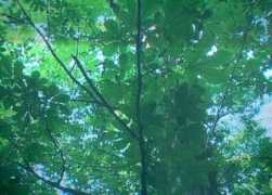 nzu.ac.jp Naohiko