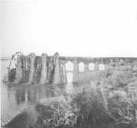 presscom.co.uk Naoura