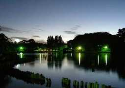 ryu.titech.ac.jp Napalang