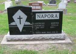 rootsweb.ancestry.com Naphin