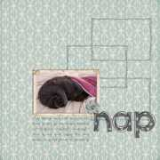 Naps