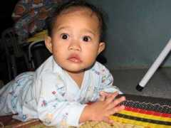 Naqib