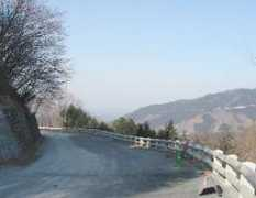 precious.road.jp Narata