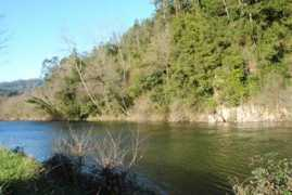 panoramio.com Narcea
