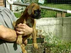 casperboxer.com Nargana