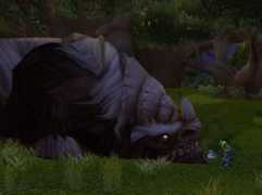 earthenring.wikia.com Nargesh