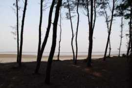 nativeplanet.com Nargol