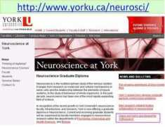 istl.org Nariani
