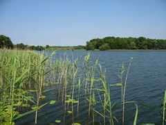 panoramio.com Narie