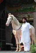 indiatoday.intoday.in Narinderjit