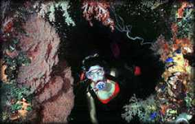 dive-expeditions.de Narinta