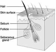 dermatologistsnyc.com Narmal
