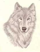 Narmo