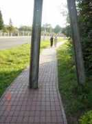 niepelnosprawni.pl Narol