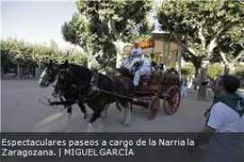 diariodelaltoaragon.es Narria