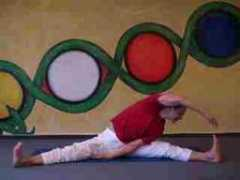 my.yoga-vidya.org Narsana