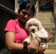 dogsindia.com Narvekar