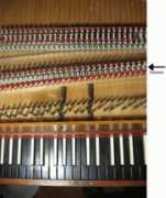 claviersbaroques.com Nasale